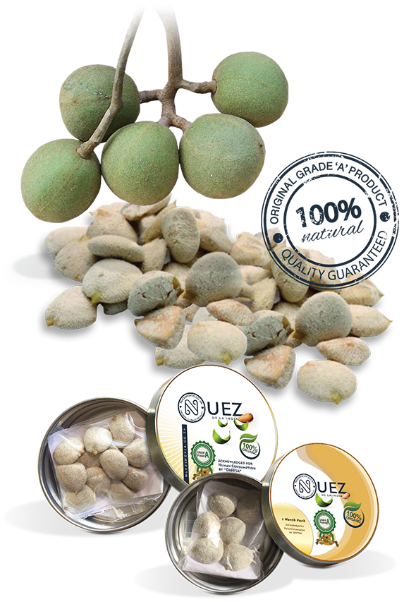Nuez de la india seeds Contraindications